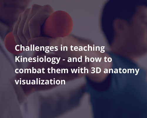 3D Kinesiology Simulation As Teaching Solutions
